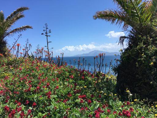 Floating House Tarifa Otel Dış mekan fotoğraf